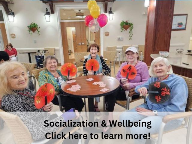 memory care socialization and wellbeing learn more